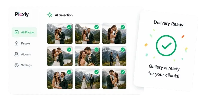 Pixcly Dashboard Preview